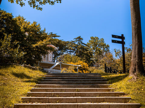 Escalier extérieur en pierre montant vers une maison, dans un parc ensoleillé
