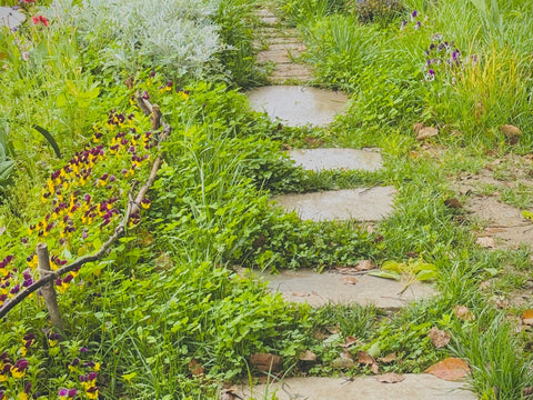 Allée de jardin en pas japonais, entre l'herbe et les fleurs