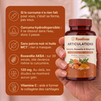 Rootivae - Curcuma Articulations