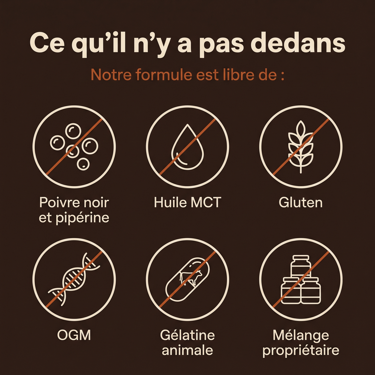 Ce qu'il n'y a pas dans Rootivae Articulations : ni poivre noir, ni huile MCT, ni gluten, ni OGM, ni gélatine animale, ni mélange propriétaire